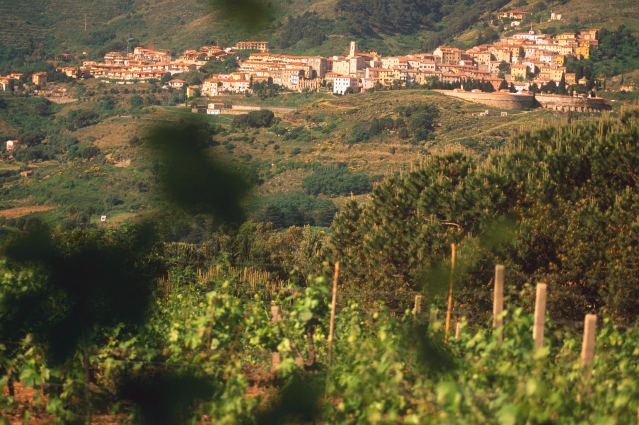 La Chiusa Di Rio Aparthotel Rio dellʼElba Екстериор снимка